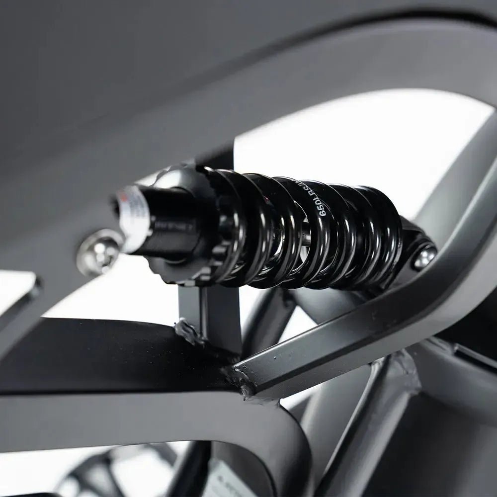 QMWHEEL V20 PRO 10.0 2026 - Fatbike Zwart Basic