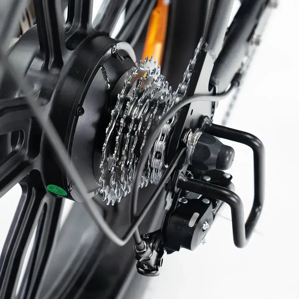 QMWHEEL V20 PRO 10.0 2026 - Fatbike Zwart Basic