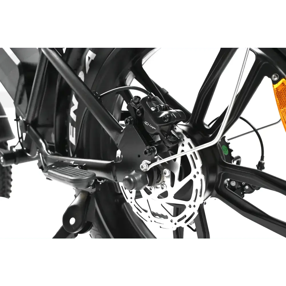QMWHEEL V20 PRO 10.0 Special Edition Elektrische Fatbike 2025